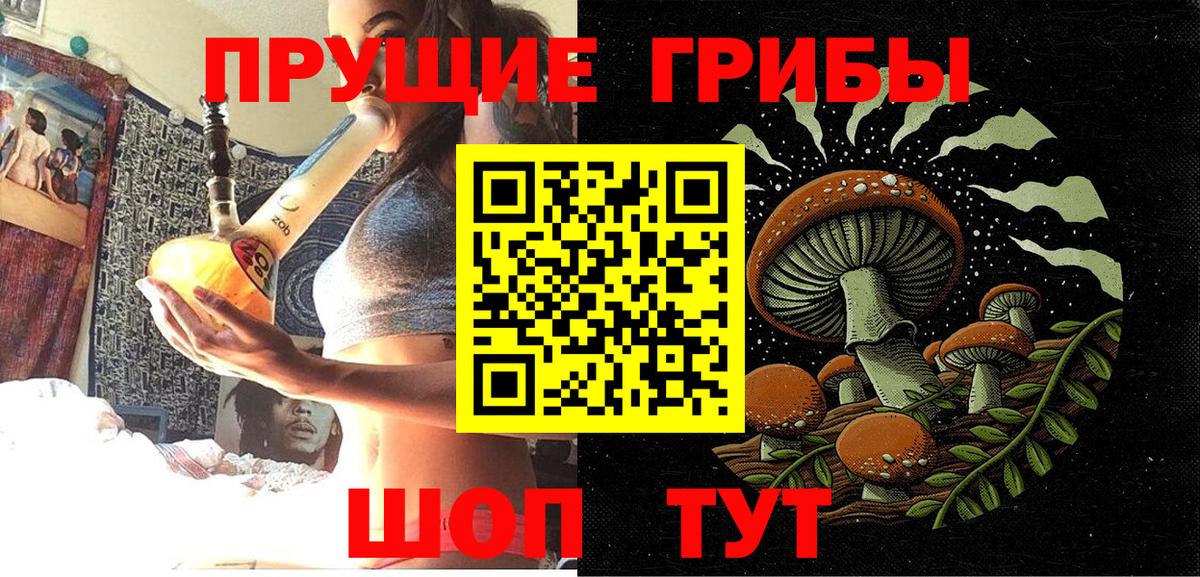 Дмитров  Псилоцибиновые грибы ЛСД  Вход с VPN 