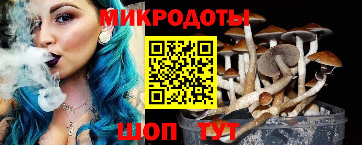 Псилоцибиновые грибы мухоморы  Дмитров 