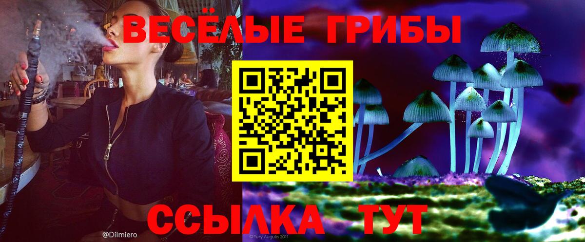 Псилоцибиновые грибы Cubensis Дмитров