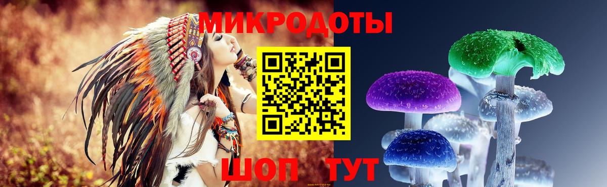 Псилоцибиновые грибы мухоморы Дмитров